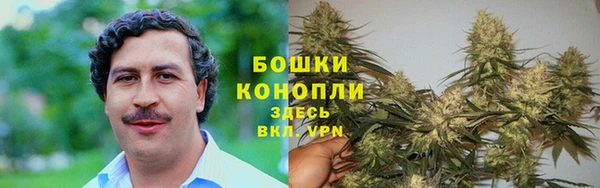 PSILOCYBIN Баксан