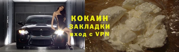 шишки Беломорск