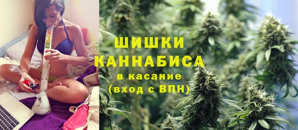 PSILOCYBIN Баксан