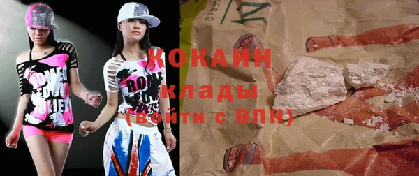 шишки Беломорск