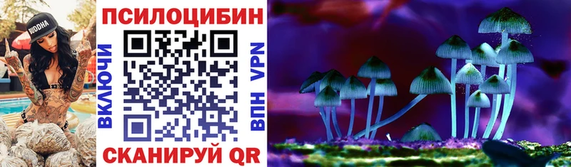 mega как войти купить Белая Холуница Псилоцибиновые грибы Psilocybine cubensis